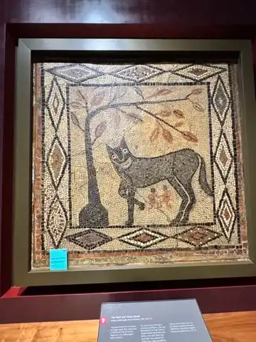 Wall-mounted floor mosaic section at the Leeds City Museum