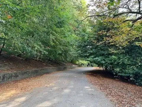 A path through Roundhay Park