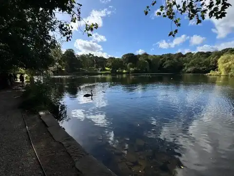 The Upper Lake