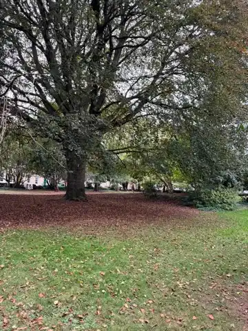 Brandon Hill Park