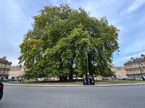 The green space of The Circus seen from across the street