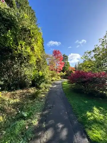 The botanical garden in Royal Victoria Park