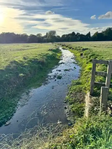 Harnham Water Meadows