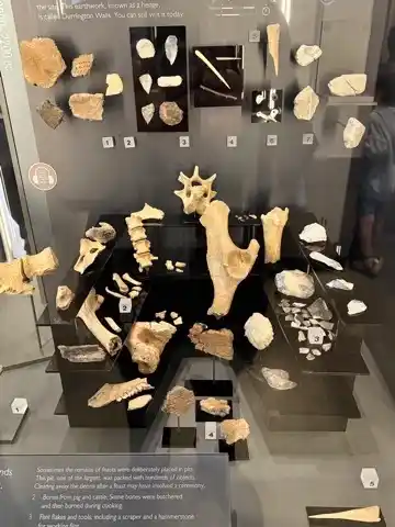 Relics in the Stonehenge Visitor Centre