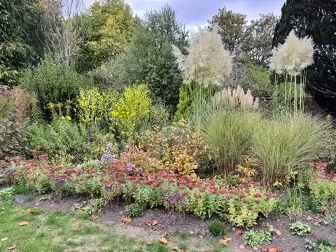 Part of the garden of Arundells