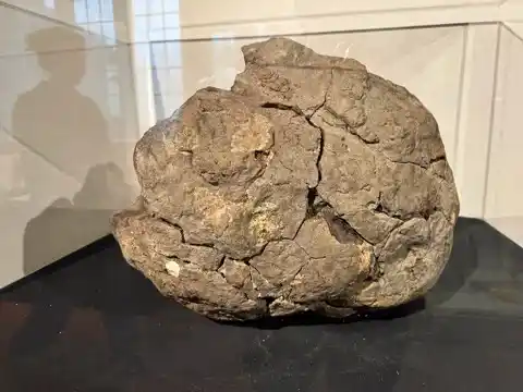 Asteroid at the Salisbury Museum