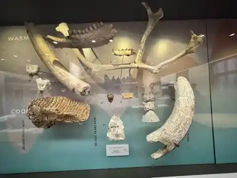 More relics in the archaeology gallery
