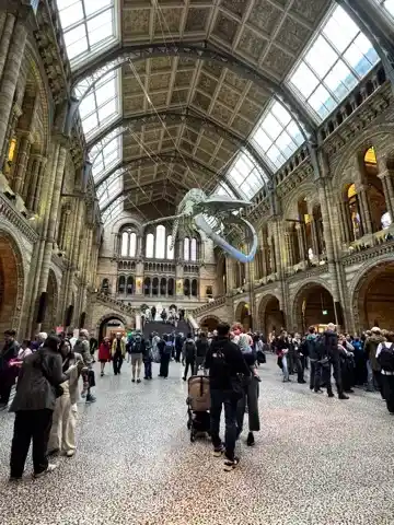 Atrium of the centre building of the Natural History Museum