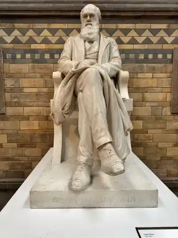 Charles Darwin surveying the evolving crowd