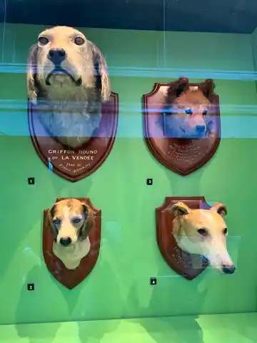 Hey, Natural History Museum, I seriously did not need to see this. 