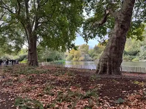 St. James's Park