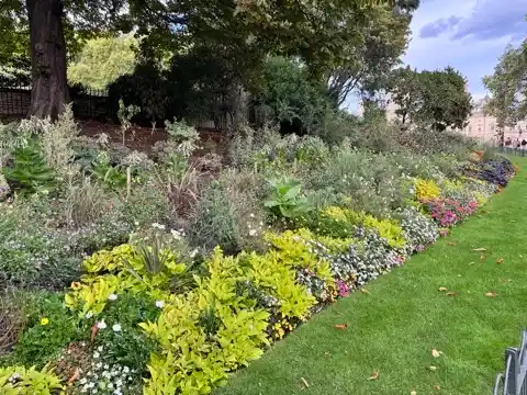 Flowers in St. James's Park